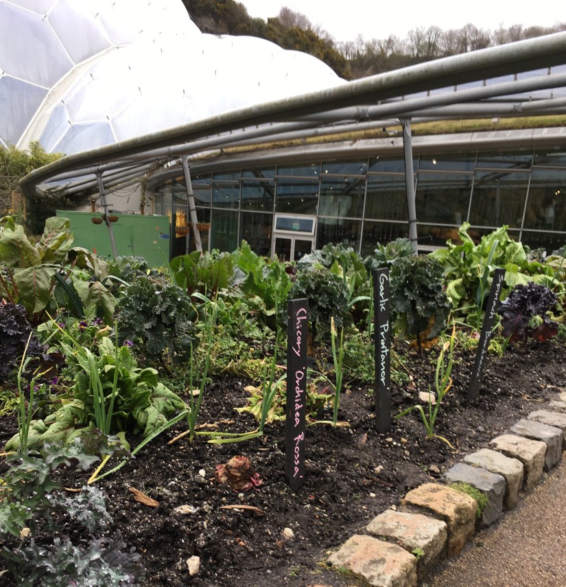 FF8FBF65-B25B-4D91-8103-588748612DE3