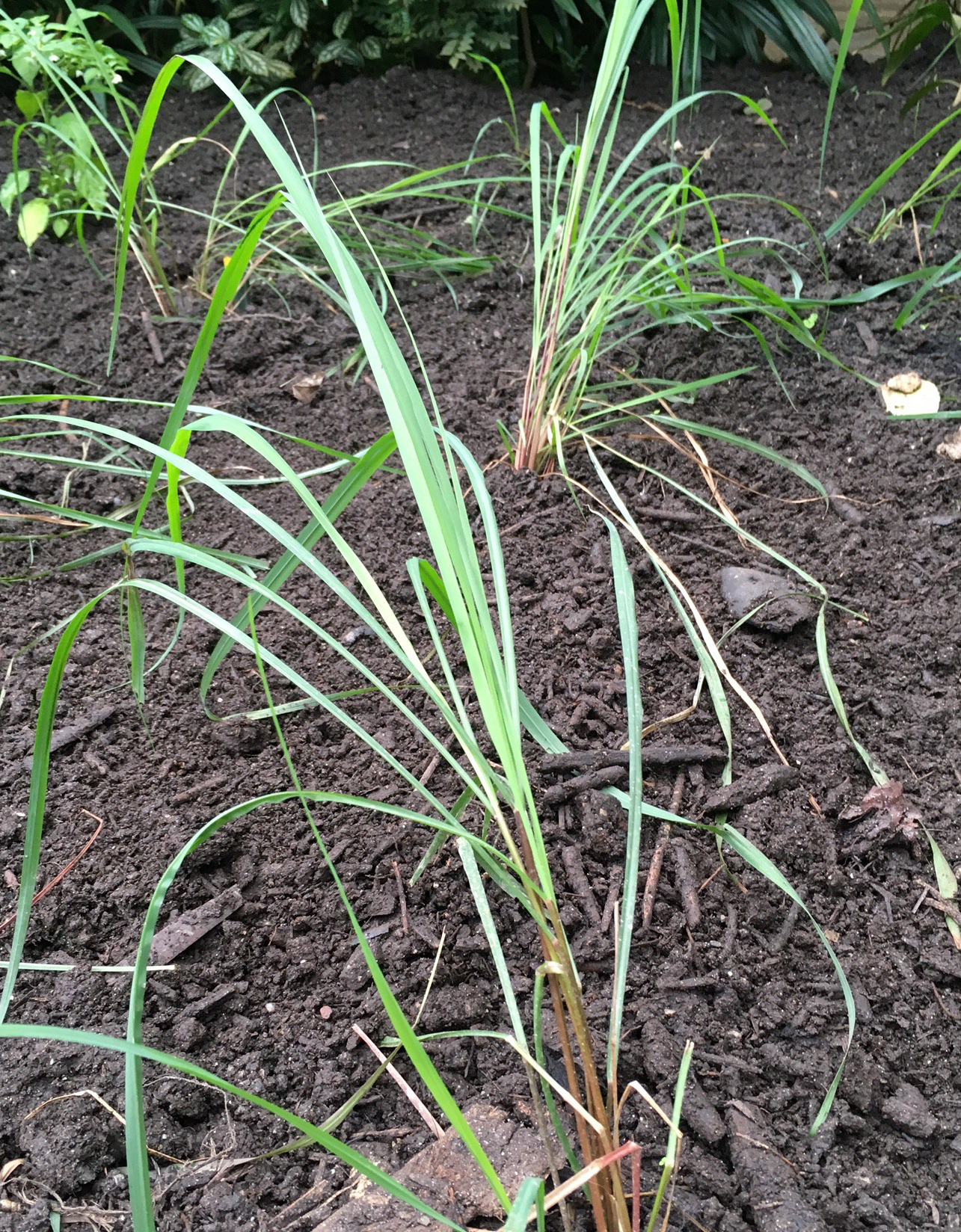 616F26B0-7DE8-465A-80F5-91A36AA60927