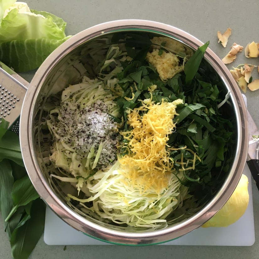 Sauerkraut, wellbeing, Aromatherapy, essential oils, recipe, food, fermenting, fermentation, massage, Belper, Derbyshire, Health, gut bacteria, friendly bacteria, beneficial bacteria