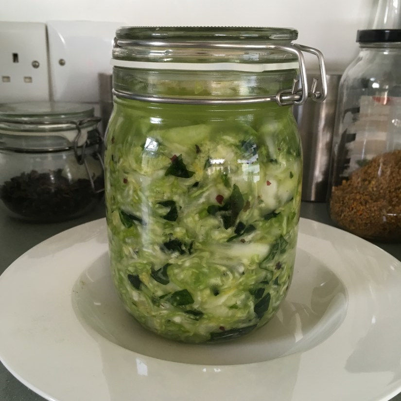 Sauerkraut, wellbeing, Aromatherapy, essential oils, recipe, food, fermenting, fermentation, massage, Belper, Derbyshire, Health, gut bacteria, friendly bacteria, beneficial bacteria