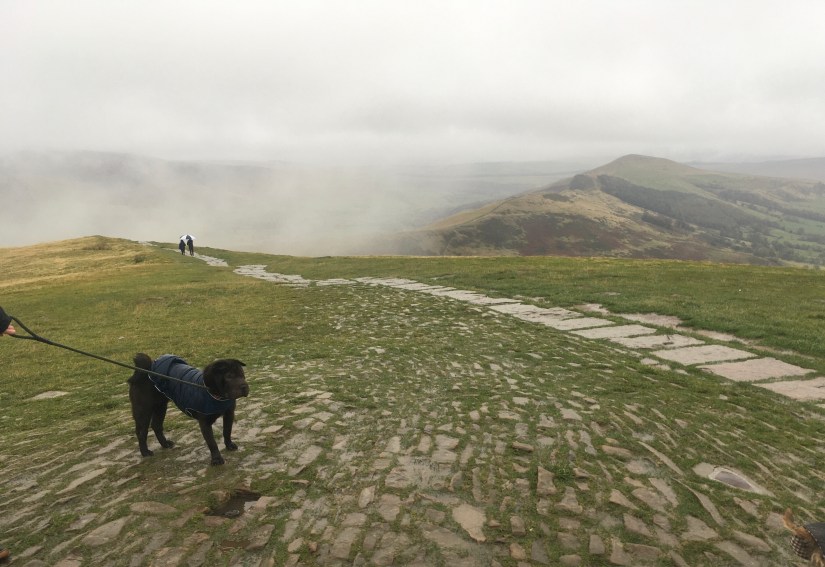 Walk, Derbyshire, walking, hiking, walking for wellbeing, wellbeing, mental health, rain, rainy day, weather, friends, Belper, aromatherapy, massage, health, dogs, dog walking